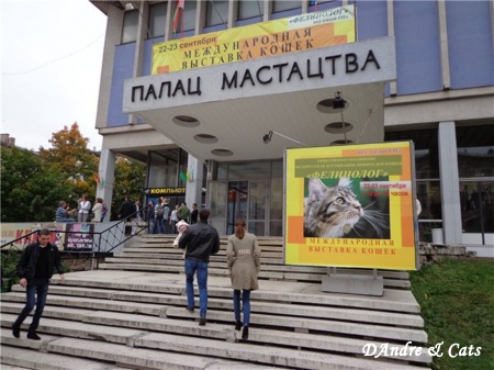 22-23 сентября 2012 г., Минск, Беларусь (59-ая и 60-ая Международные выставки кошек FIFe)